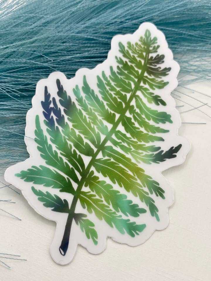 Fern Sticker, PNW Sticker, Plant Sticker, Foliage Sticker for wholesale by Melissa Pothier Art