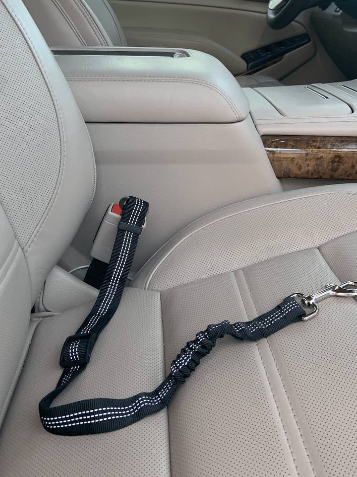 Car Elastic Safety Leash for wholesale by Poppy Lee Lane