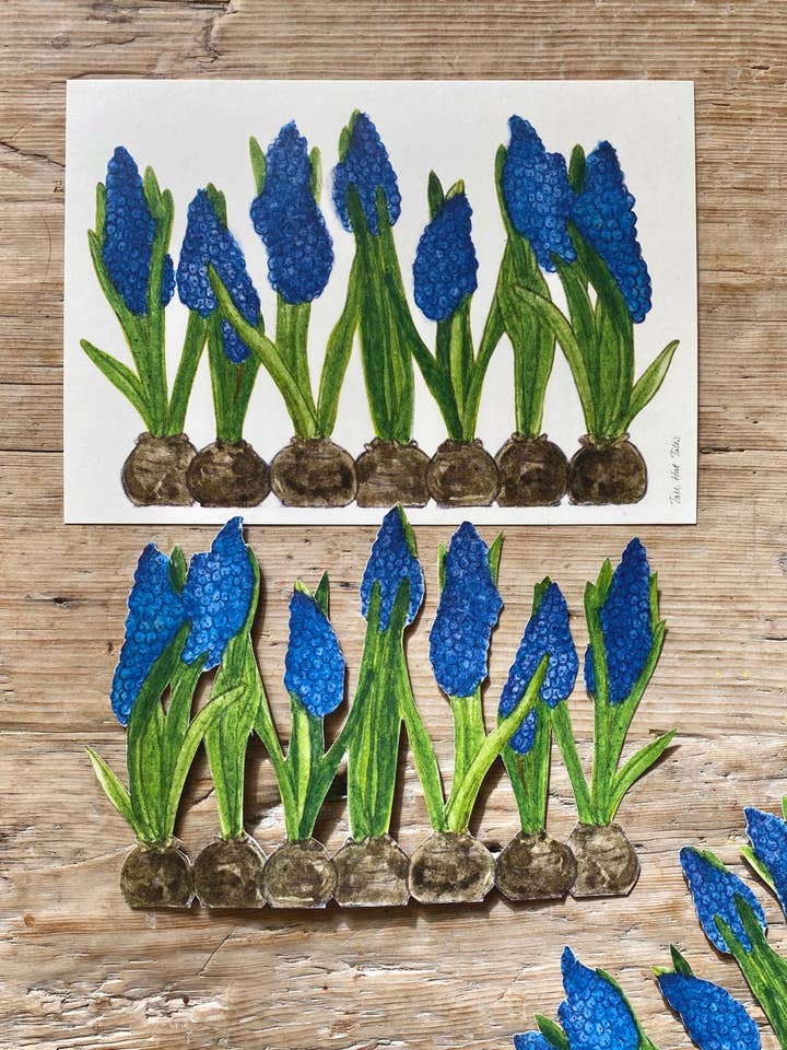 Perlehyacint for wholesale by Tall Hat Tales