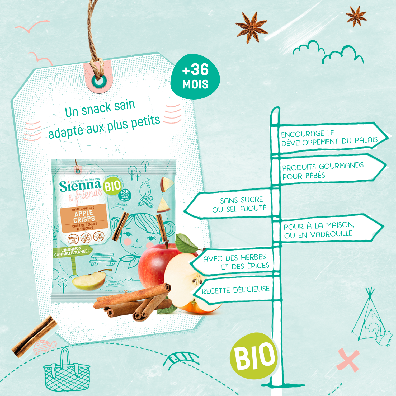 SIENNA & FRIENDS - Wholesale Dried/Dehydrated Fruit - CINNAMON APPLE CHIPS +3A6