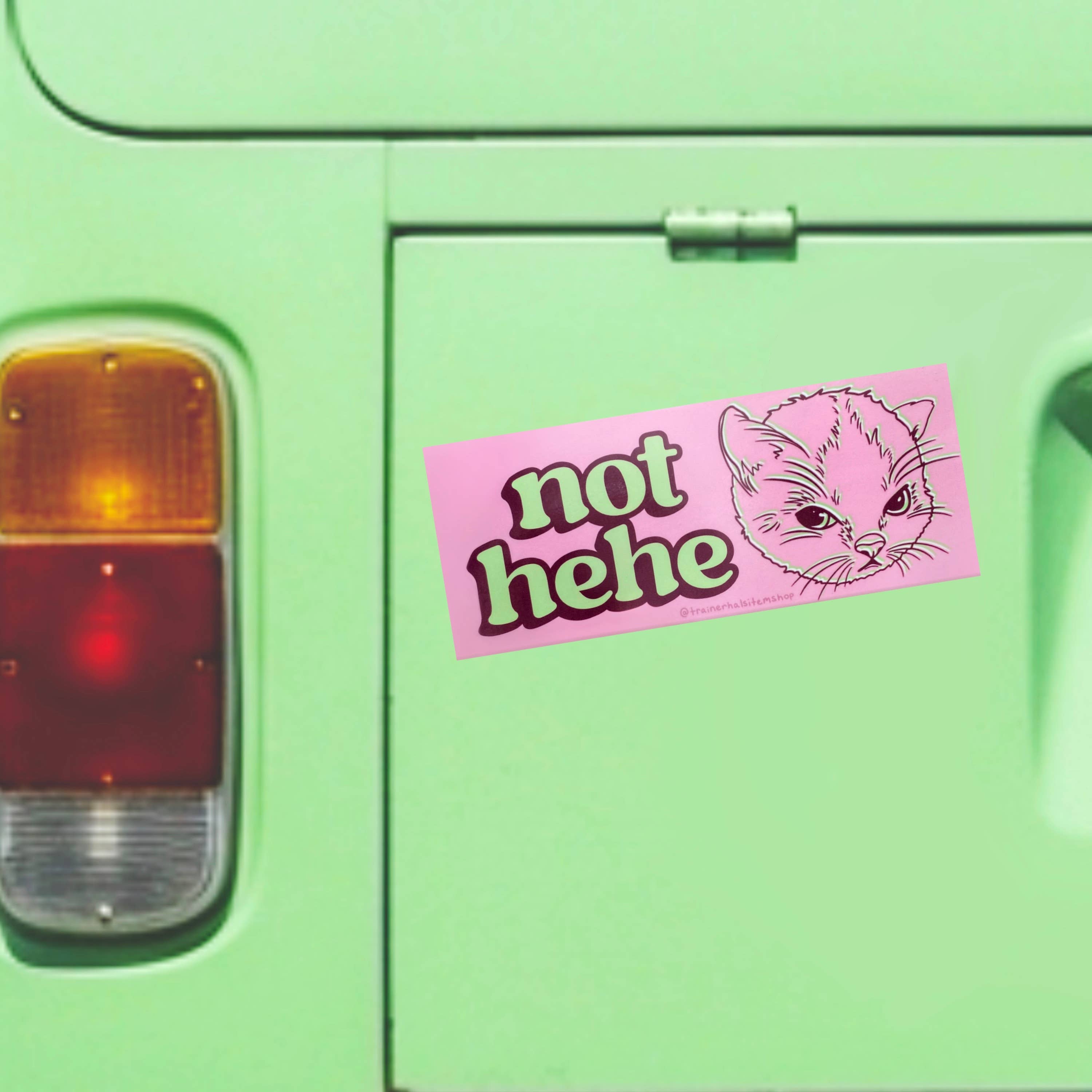 Trainer Hal’s Item Shop - Wholesale Sticker - Hehe Cat Meme Bumper Sticker | Grumpy Kitten Pink Y2K Decal1