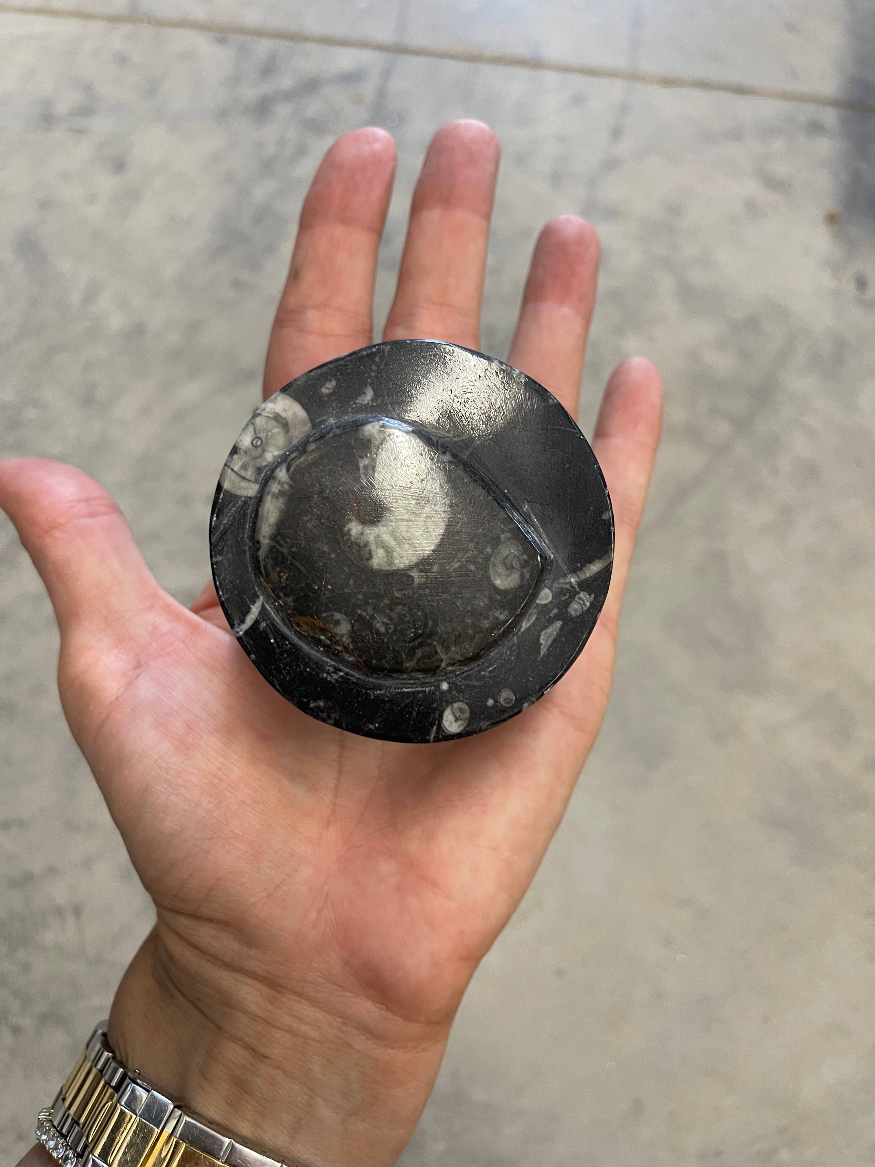 Casablanca Exports - Wholesale Decorative Box - Medium Round Fossil Boxes