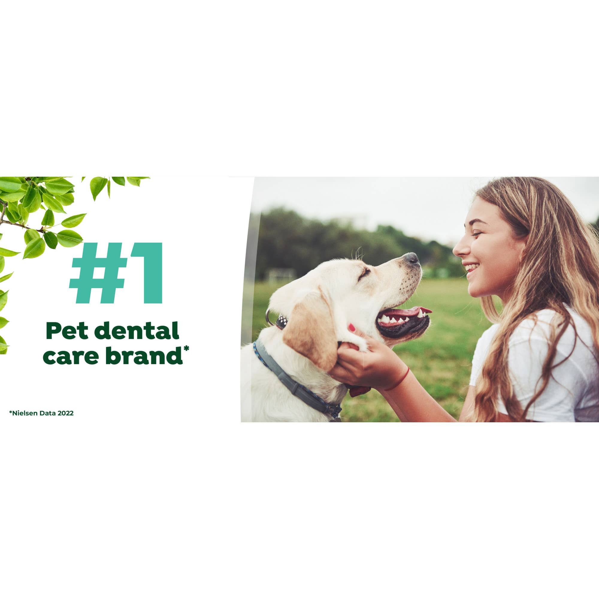 Pet Palette Distribution - Wholesale Pet Toothpaste - Dog - TropiClean Fresh Breath Mint Foam for Pets, 4.5oz11