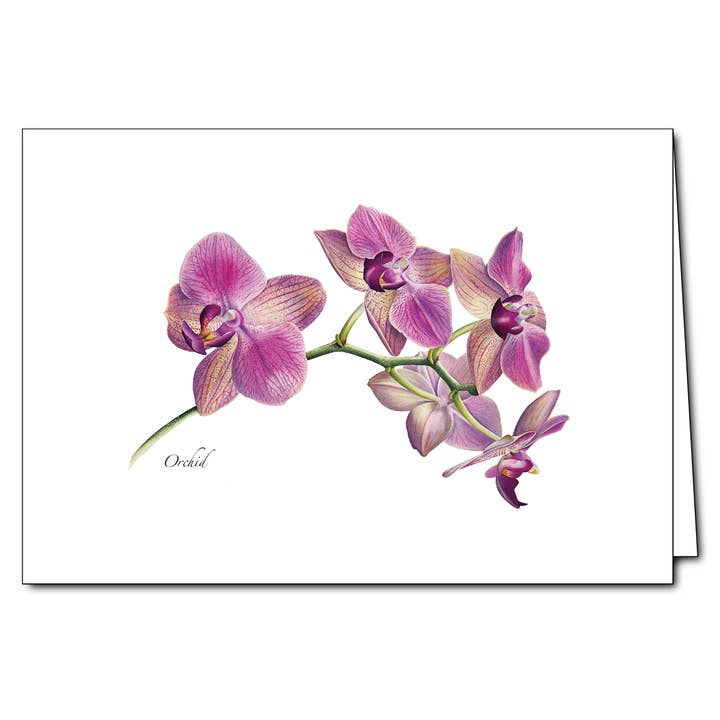 Orchid Card for wholesale by Earth Sky + Water