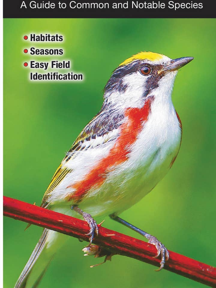 Birds of Indiana for wholesale by Quick Reference Publishing, Inc