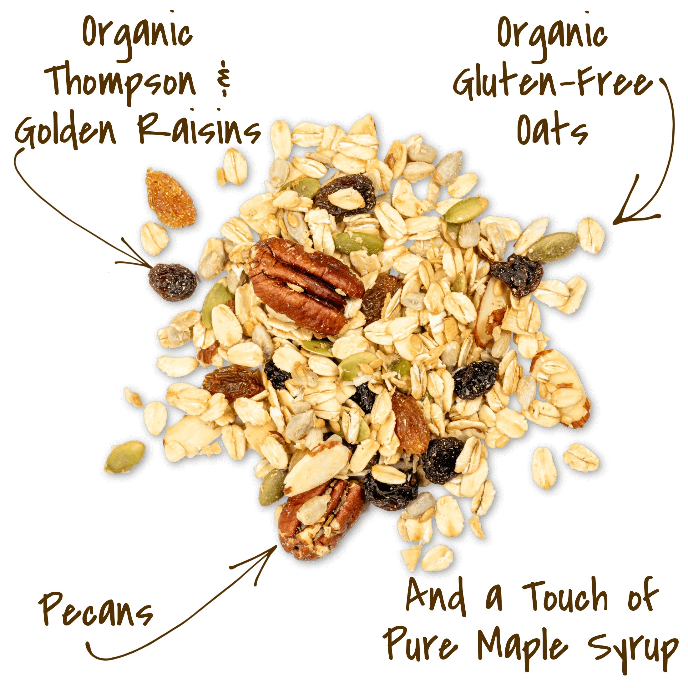 Michele's Granola - Wholesale Breakfast Cereal - Toasted Muesli - 12oz (Case of 6) [$5.83 per bag]2