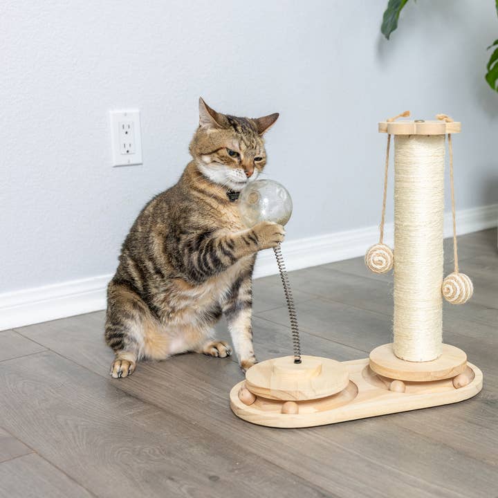 Armarkat - Wholesale Pet Scratcher - Cat - Interactive Scratch Post and Activity Center -- The Ultimate6