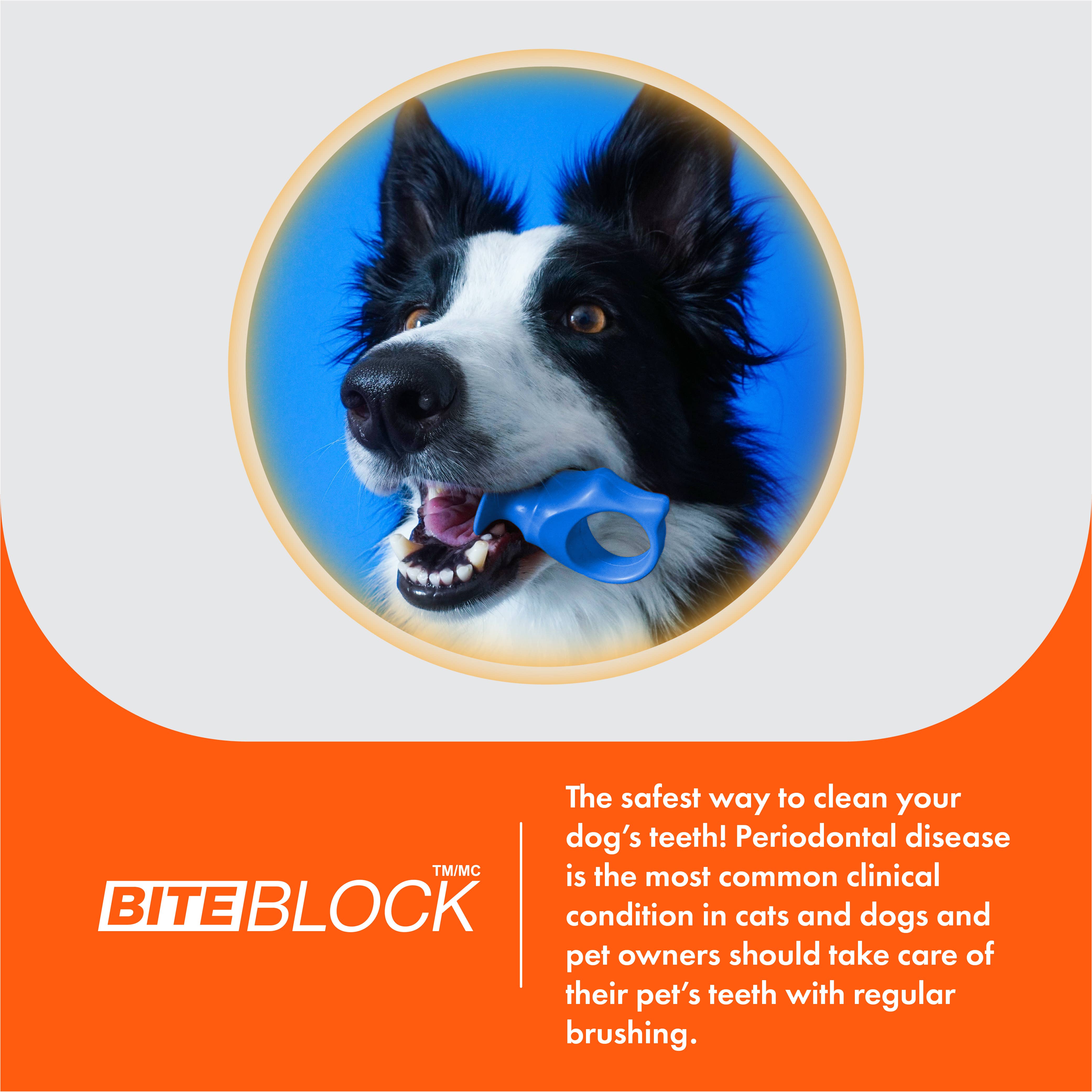 Keen Products Inc. - Wholesale Pet Brush - Cat/Dog - Paw Ready Pet Toothbrush for Puppies, Dogs and Cats6