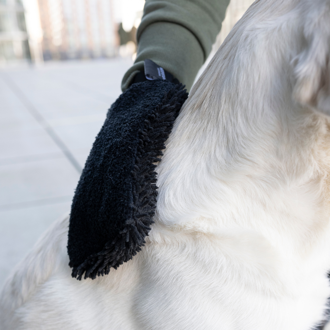 Dog Drying Glove Quick Dry Anthracite for wholesale on Faire2