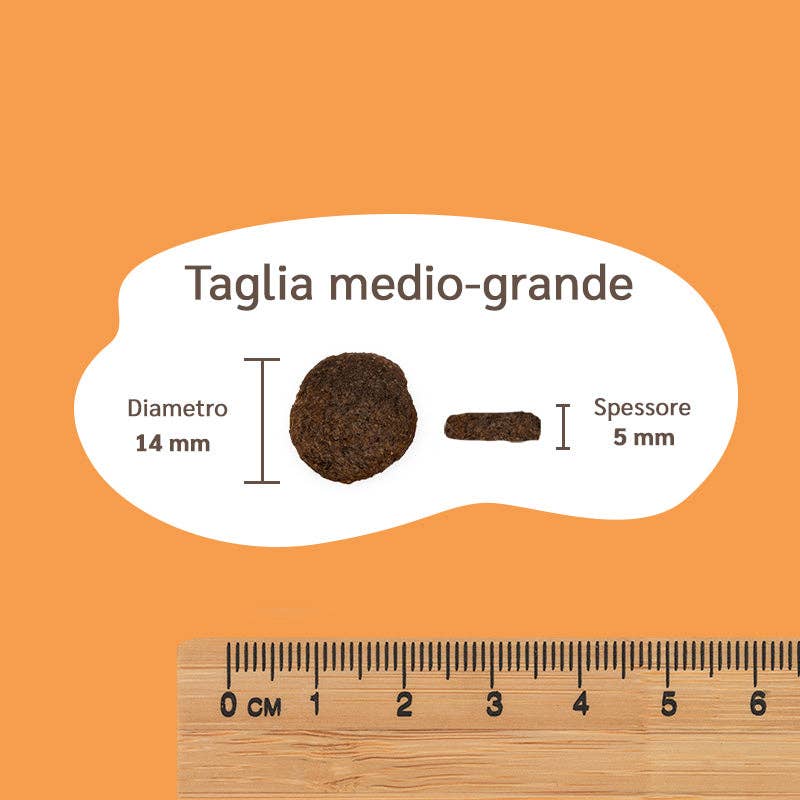 Pettech S.r.l. - Wholesale Pet Treats - Dog - Kibble with Fresh Salmon, Peas, and Apple for Adults4