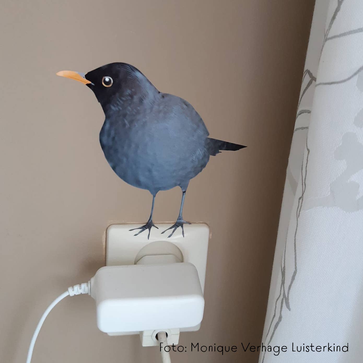 MYRTE - Wholesale Wall Decal/Stickers - Blackbird Illustration Wall Decal1