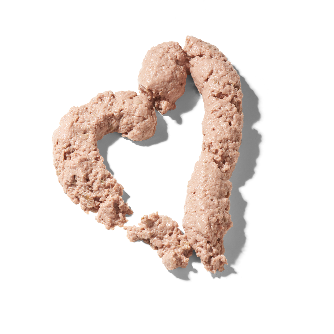 FRED & FELIA - Wholesale Pet Food - Dog - FRED Favorite Cream Salmon1