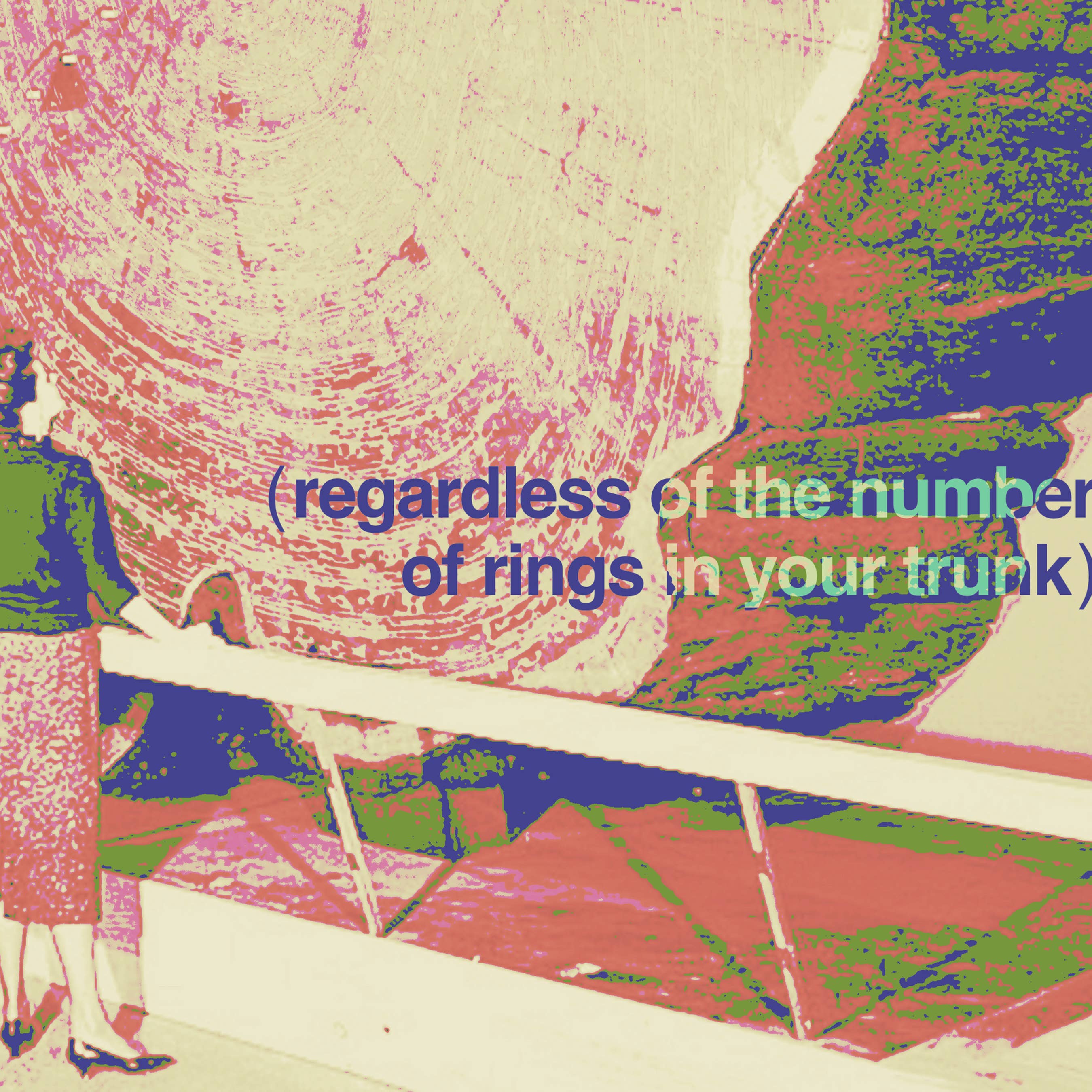 Pictrix Design - Wholesale Birthday Card - "Dendrochronology" A6 birthday card (woman)4