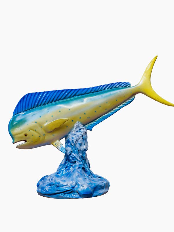 Bureau Trophée Mahi Mahi 17'' (0,43 m) pour la vente par Bluewave Fish Mounts