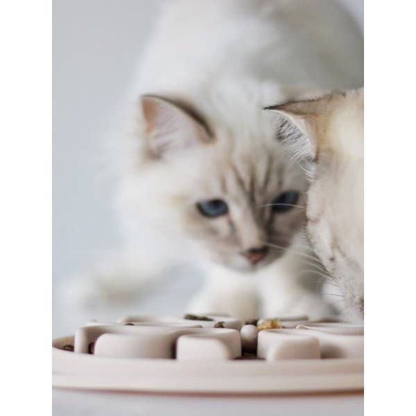 INOOKO - Wholesale Pet Bowl - Cat/Dog - Anti-Glouton bowl - Grey1