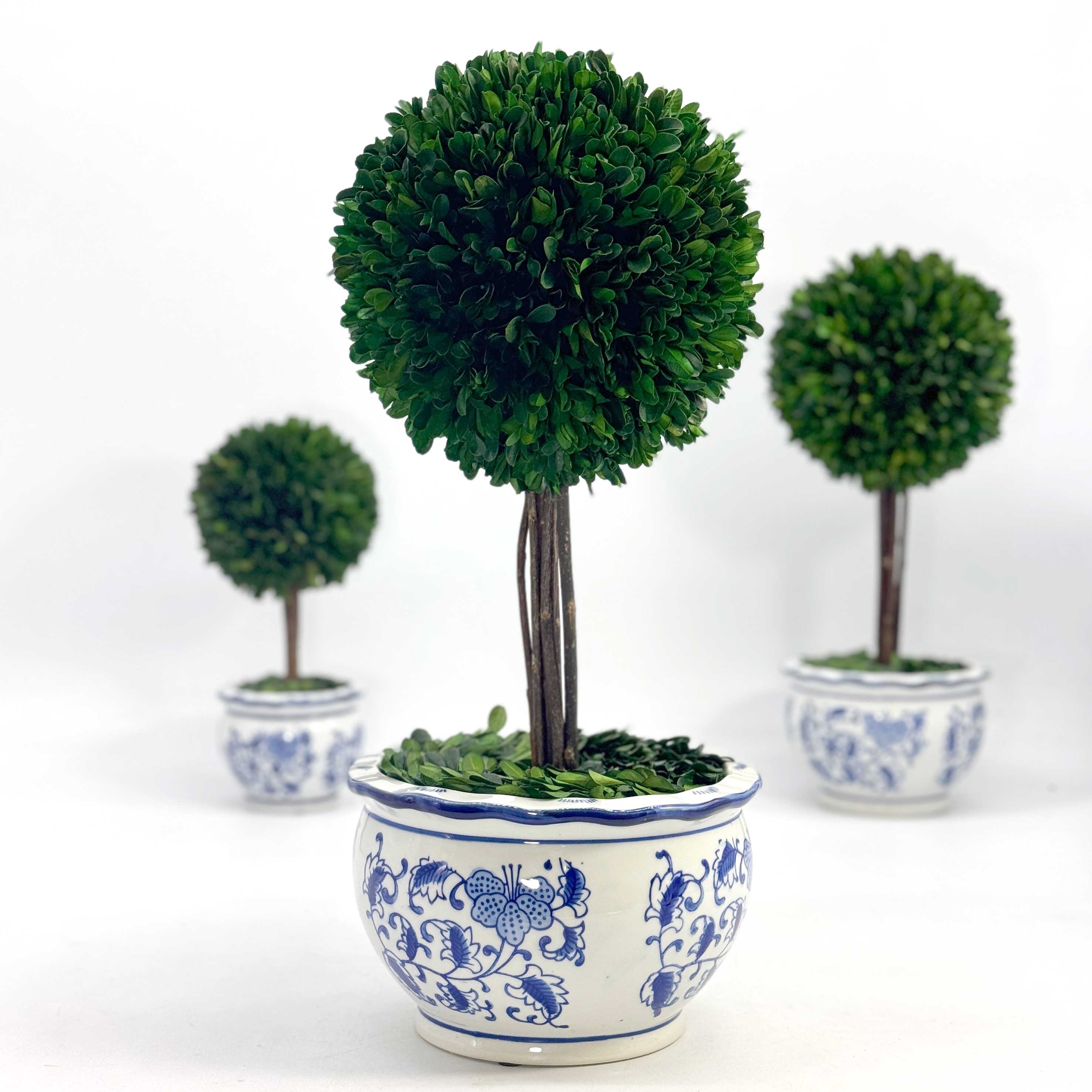 Galt International Company - Vente Plantes artificielles - Arbre topiaire en boule de buis dans un pot rond en céramique bleu et blanc10