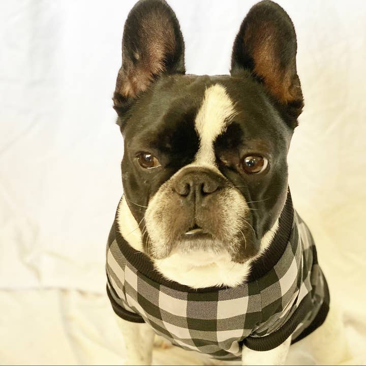 Homerun Pup Shirt - Grey and Black Plaid for wholesale by BOSSPUP