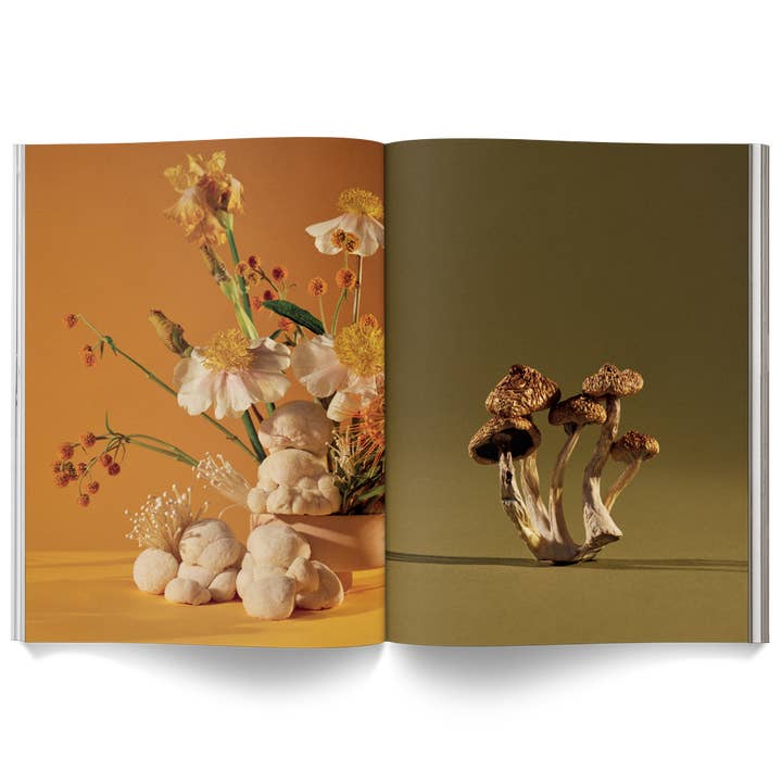 Broccoli - Wholesale Magazine - Mushroom People Magazine7