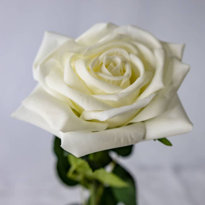 Realistic Artificial Flowers - Venta al por mayor Flores artificiales - Rosa blanca natural con toque real, flores artificiales realistas