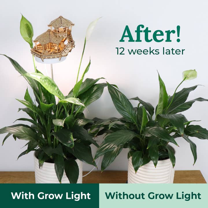 Next Level Distribution - Wholesale Indoor Pot - Grow Light Tiny Treehouses - Island Cabana4