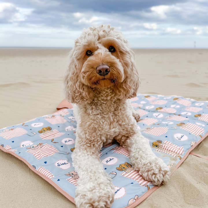 Disney© Travel Mat - Lion Friends for wholesale by Pawsome Paws