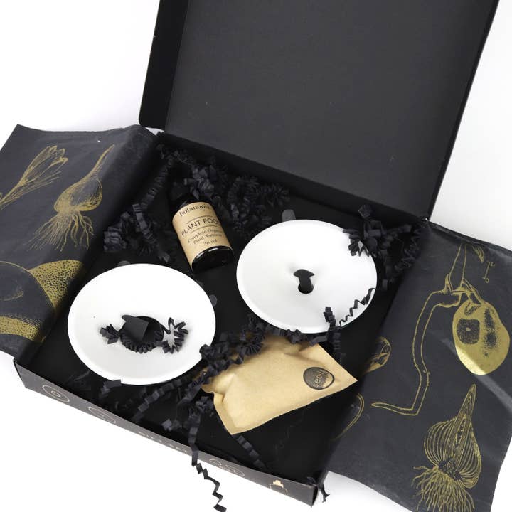 Botanopia - gifts , decor and cards for plant lovers - Wholesale Plant Seeds - Deluxe Gift Box – Germination & Propagation in water14