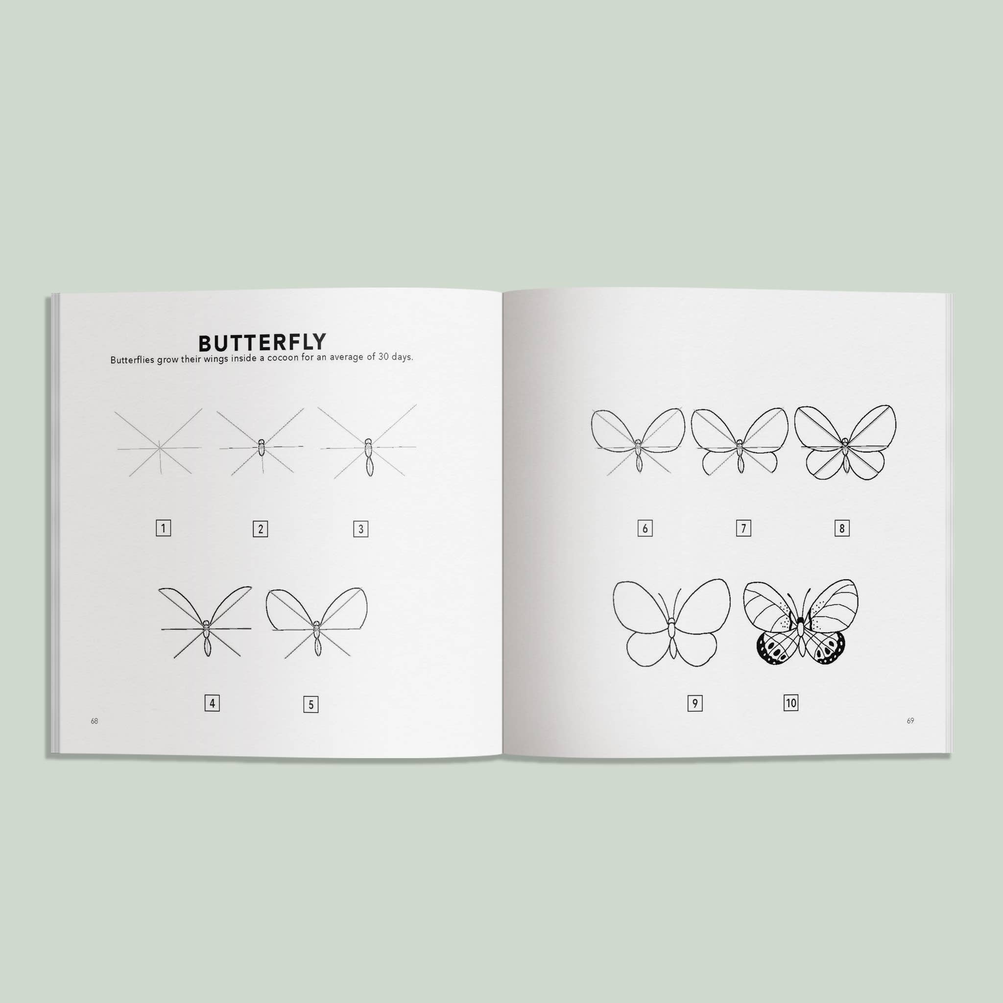 Paige Tate & Co. - Wholesale Colouring and activity book – kids and baby - Spring Things: How to Draw Books for Kids 3