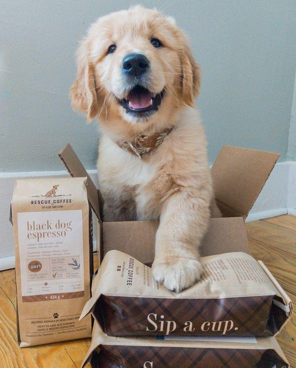 Rescue Coffee Co. - Wholesale Coffee Beans - Black Dog Espresso | Medium Roast | 1lb Bag | Organic Coffee6