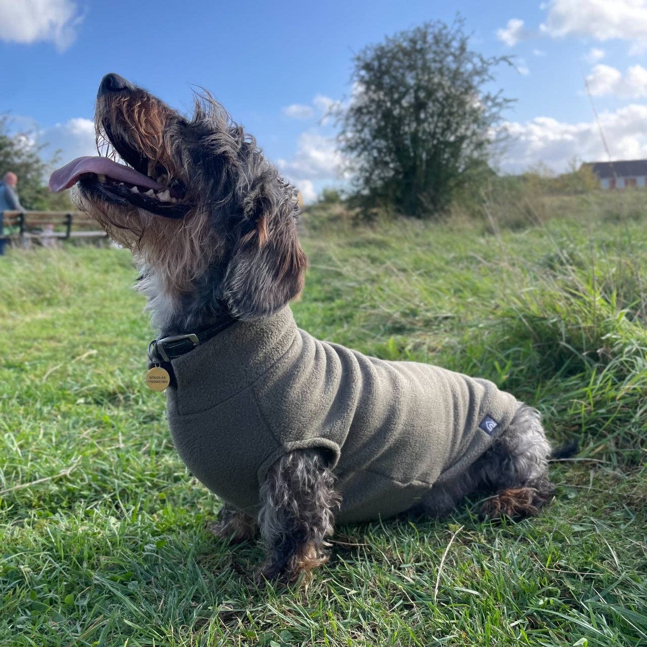 Doghouse - Vendita all'ingrosso Maglione - Cani - Maglione in pile per bassotti standard6