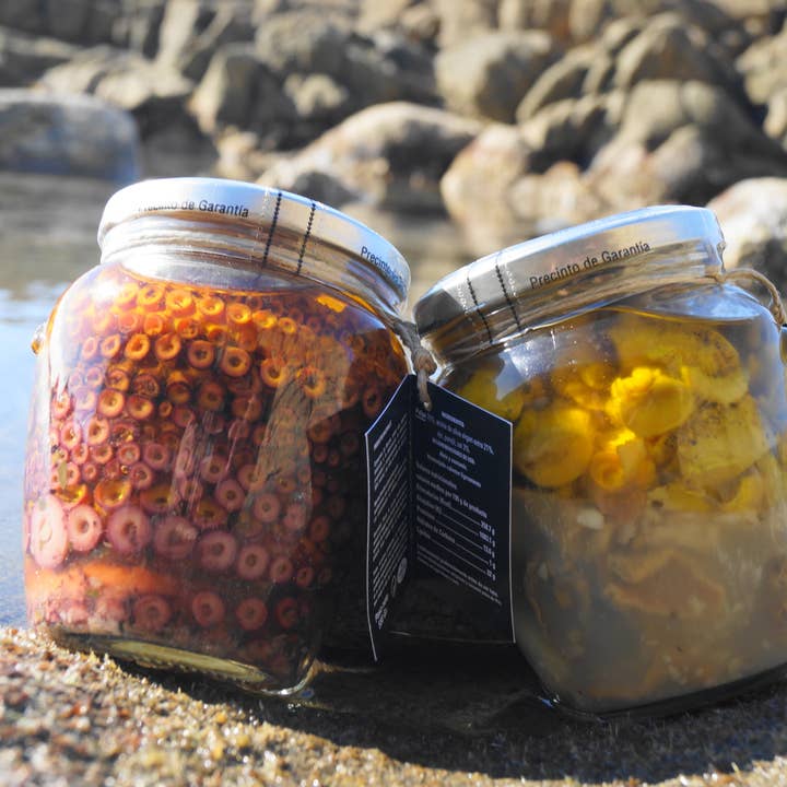 CONSERVAS LA RECETA - Wholesale Fish/Seafood - PACK - OCTOPUS AND CONCH 550GR