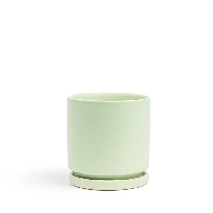 Momma Pots - Wholesale Plant Pot - 10.5" Gemstone Cylinder Pots with Water Saucers