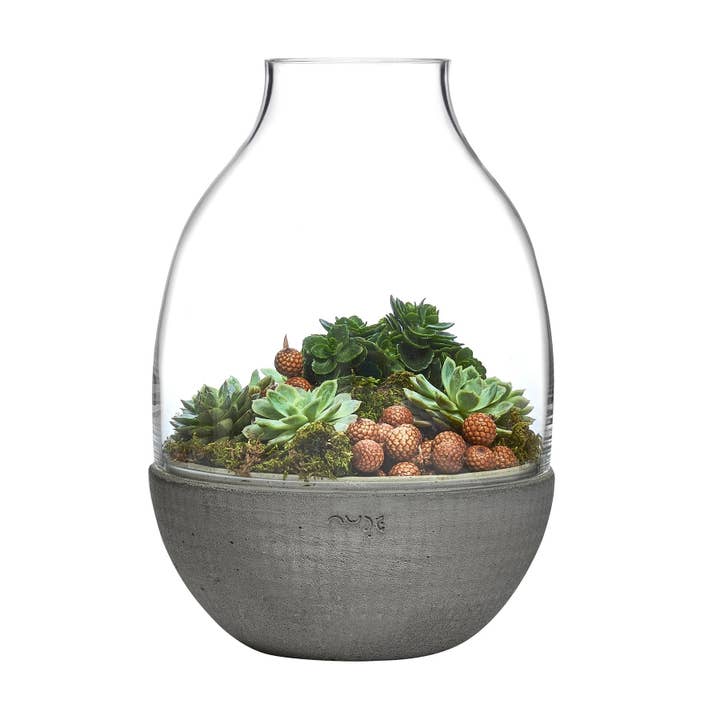 Eden terrarium transparant met vormgegeven betonnen voet voor wholesale door NUDE