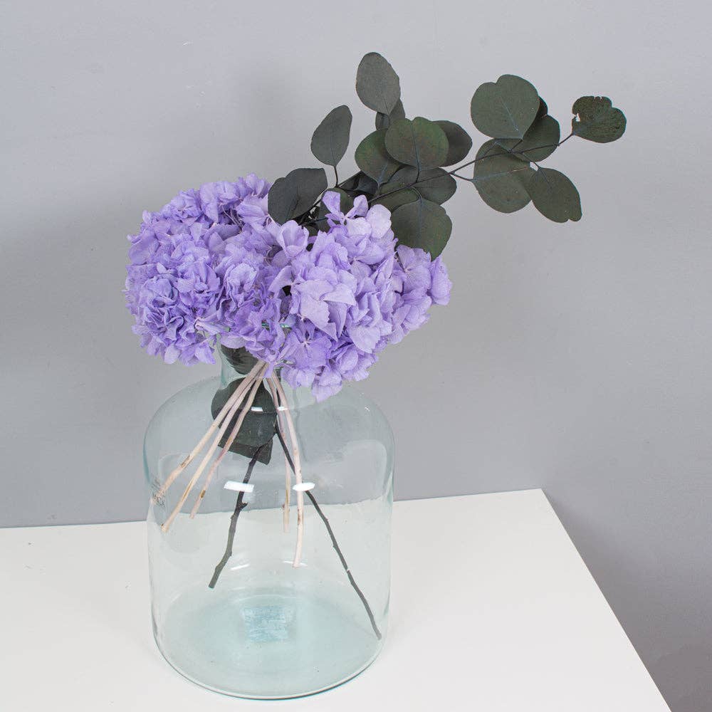 pampas studio uk - Wholesale Dried/Pressed Flowers - Eucalyptus Preserved Populus Green2