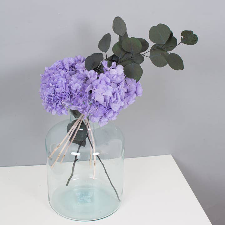 pampas studio uk - Wholesale Gedroogde/geperste bloemen - Eucalyptus Conserveerde Populus Green2