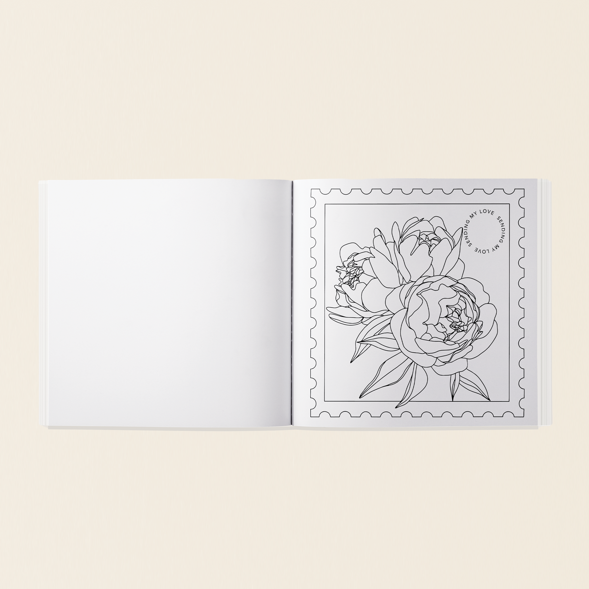 Paige Tate & Co. – wholesale Colouring and activity book – adult – Love in Bloom: A Romantic Adult Coloring Book 3