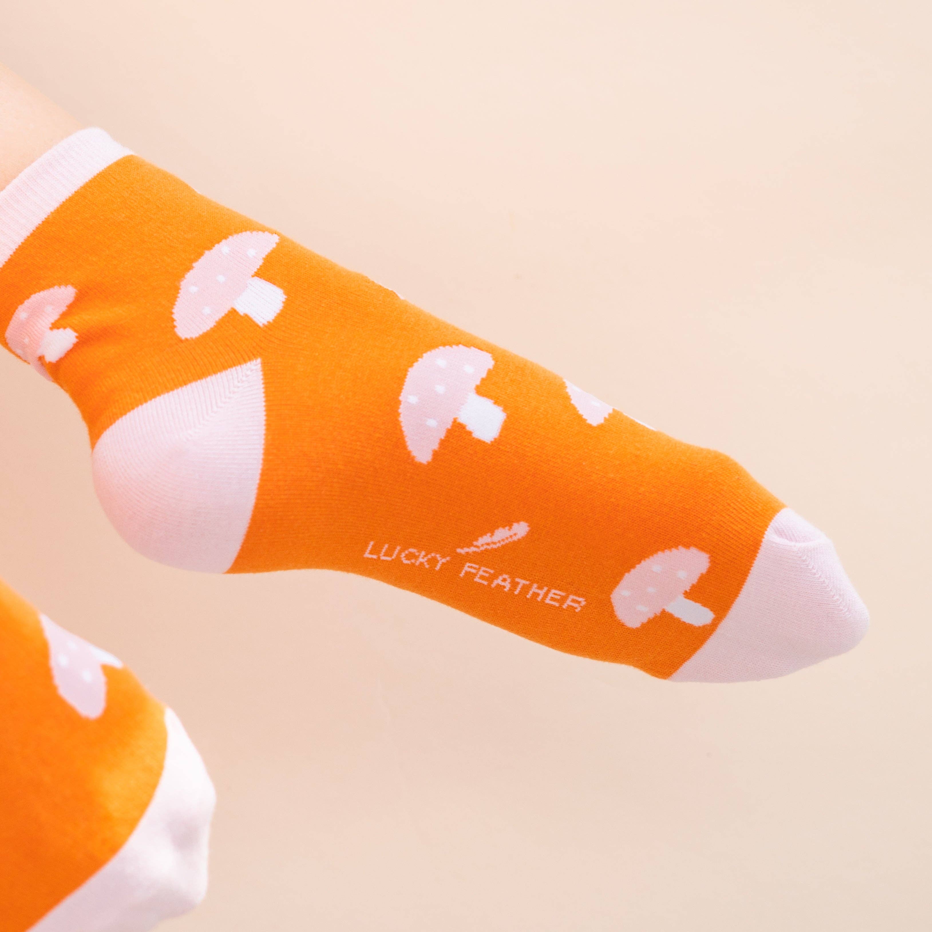 Lucky Feather - Vendita all'ingrosso Calzini - Donna - Sockspirations - Confezione Calze - 8 paia per 8 modelli - 64 paia + espositore5