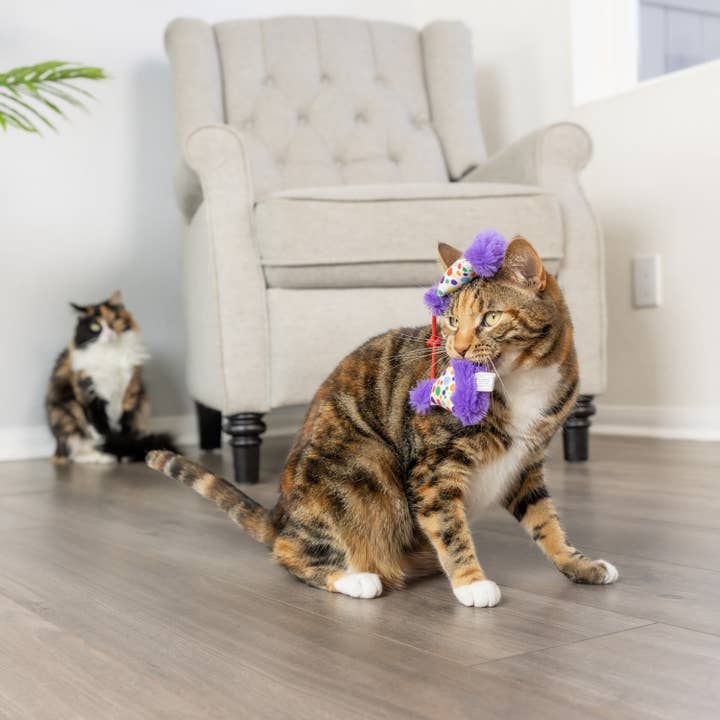 Huxley & Kent - Wholesale Pet Toy - Cat - Party Hats Cat Toy6