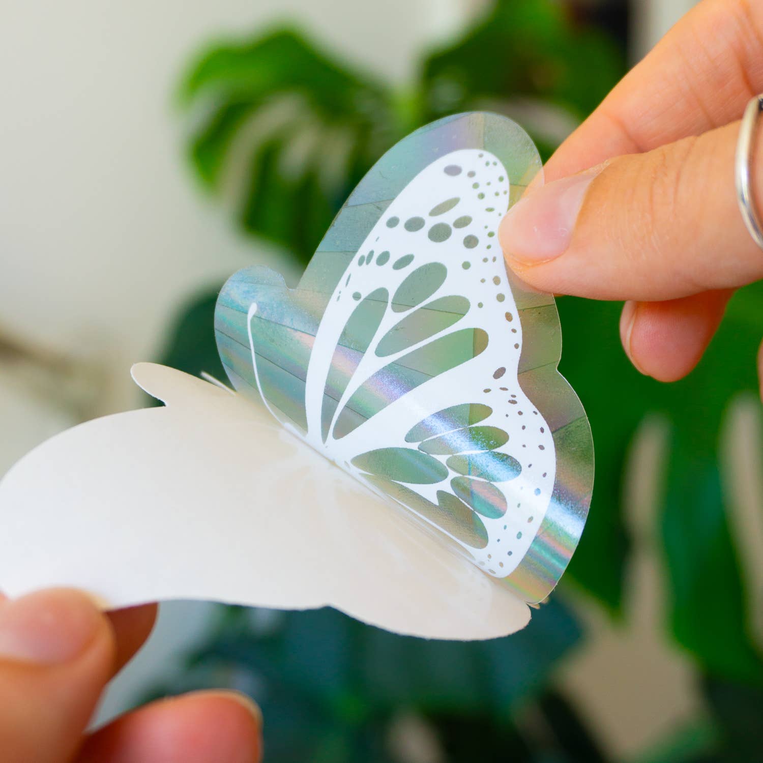 Creative Goodie - Wholesale Sticker - Butterfly Suncatcher sticker, Rainbow window decal1