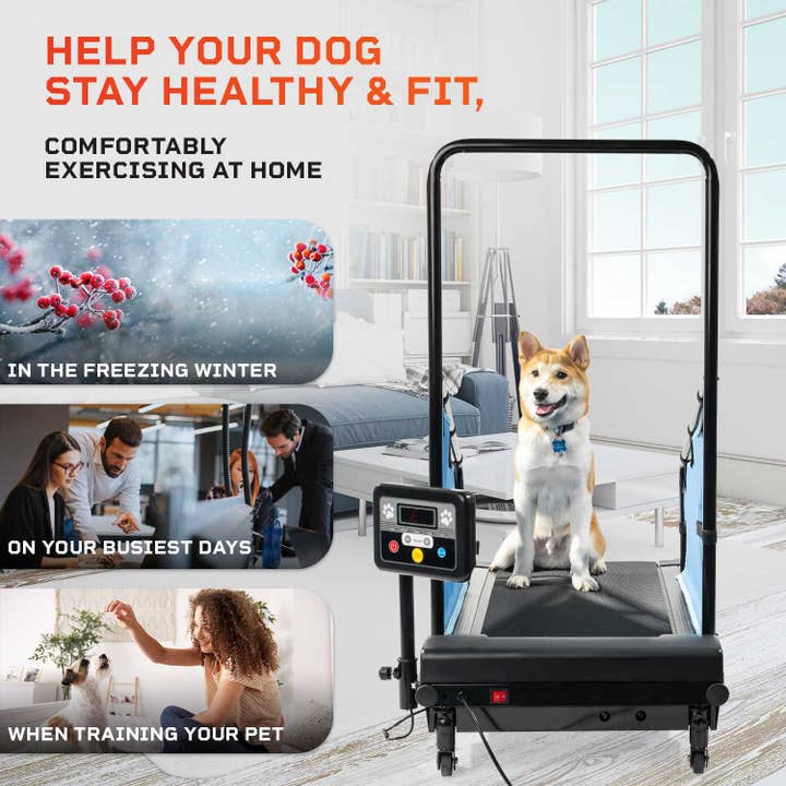 LifePro - Wholesale Fitness Equipment - PawRunner Pet Treadmill