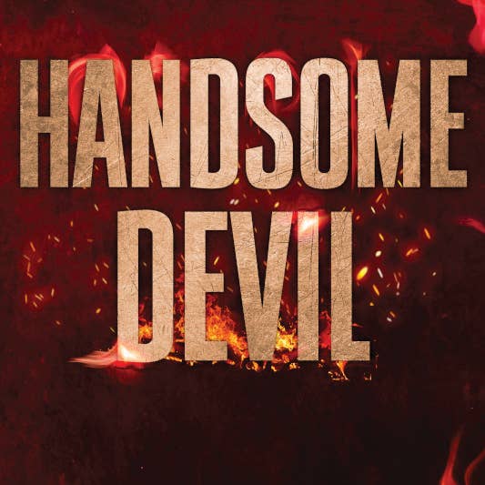 Sourcebooks - Wholesale Romance - Handsome Devil (Standard Edition)