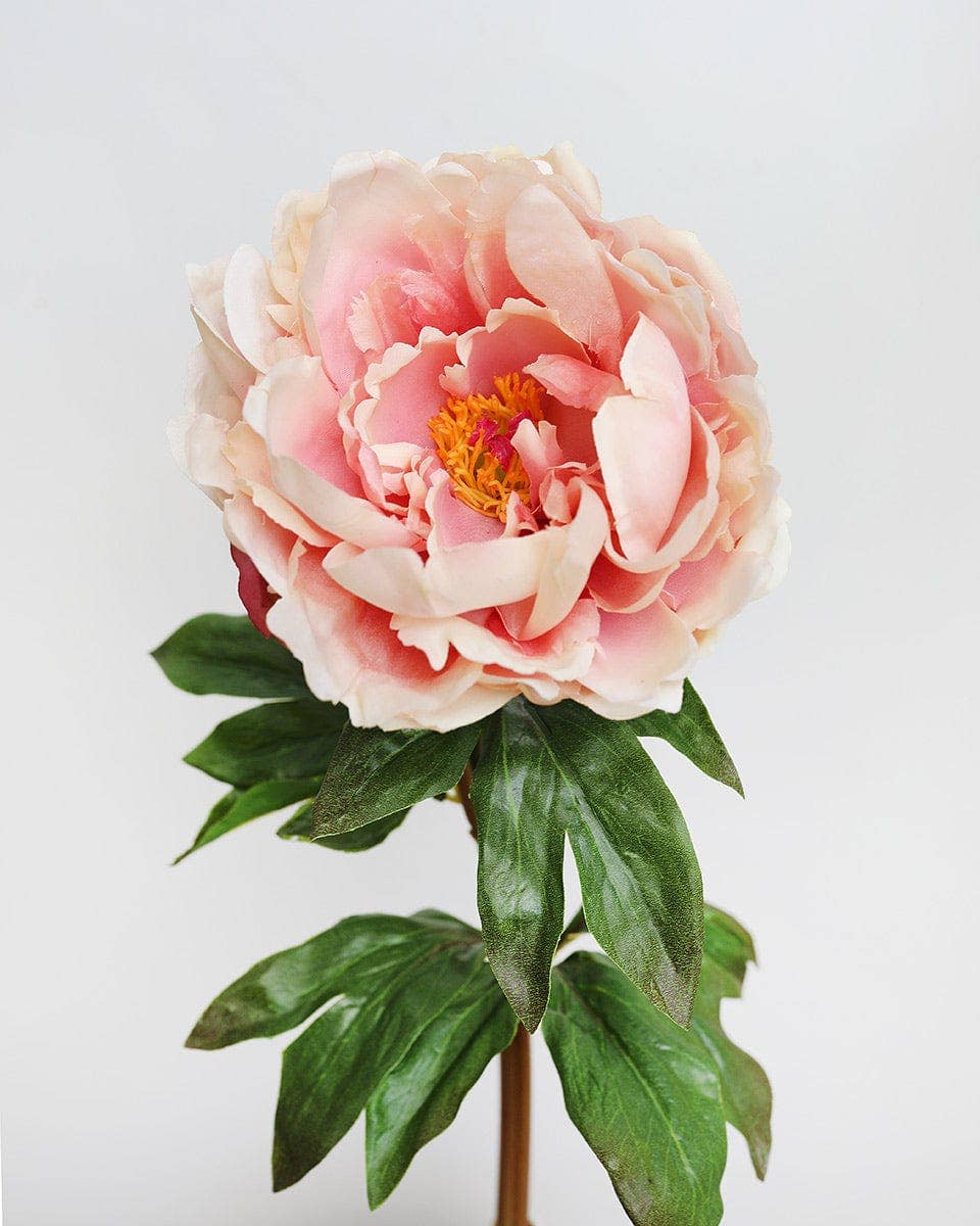 Prestige Botanicals - Wholesale Artificial Flowers - Peach Mauve Real Touch Peony 20.5"2