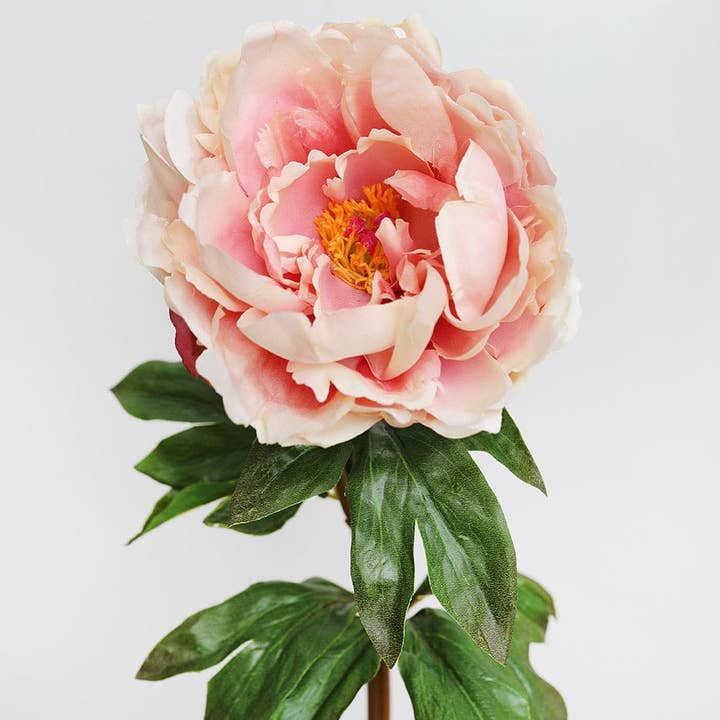 Prestige Botanicals - Wholesale Artificial Flowers - Peach Mauve Real Touch Peony 20.5"2