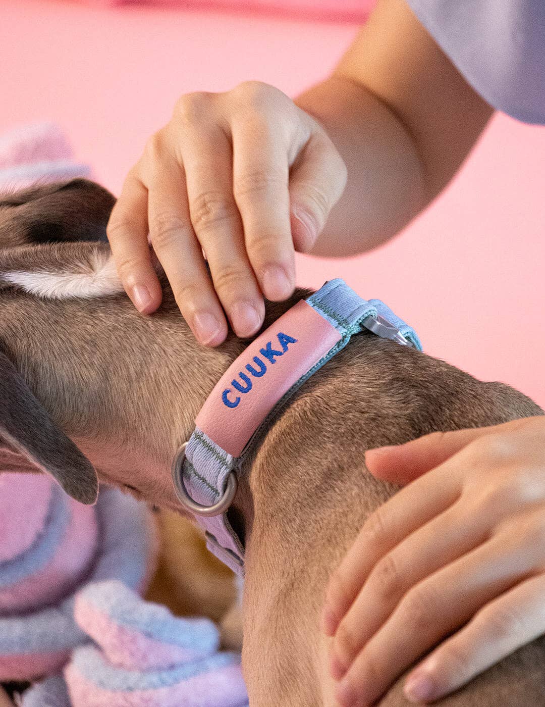 Qisu - Wholesale Halsband - Hond - Air Collar canvas hondenhalsband van natuurlijke materialen5