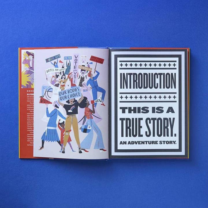 She Votes - How U.S. Women Won Suffrage, and What Happened Next for wholesale by Darling Spring