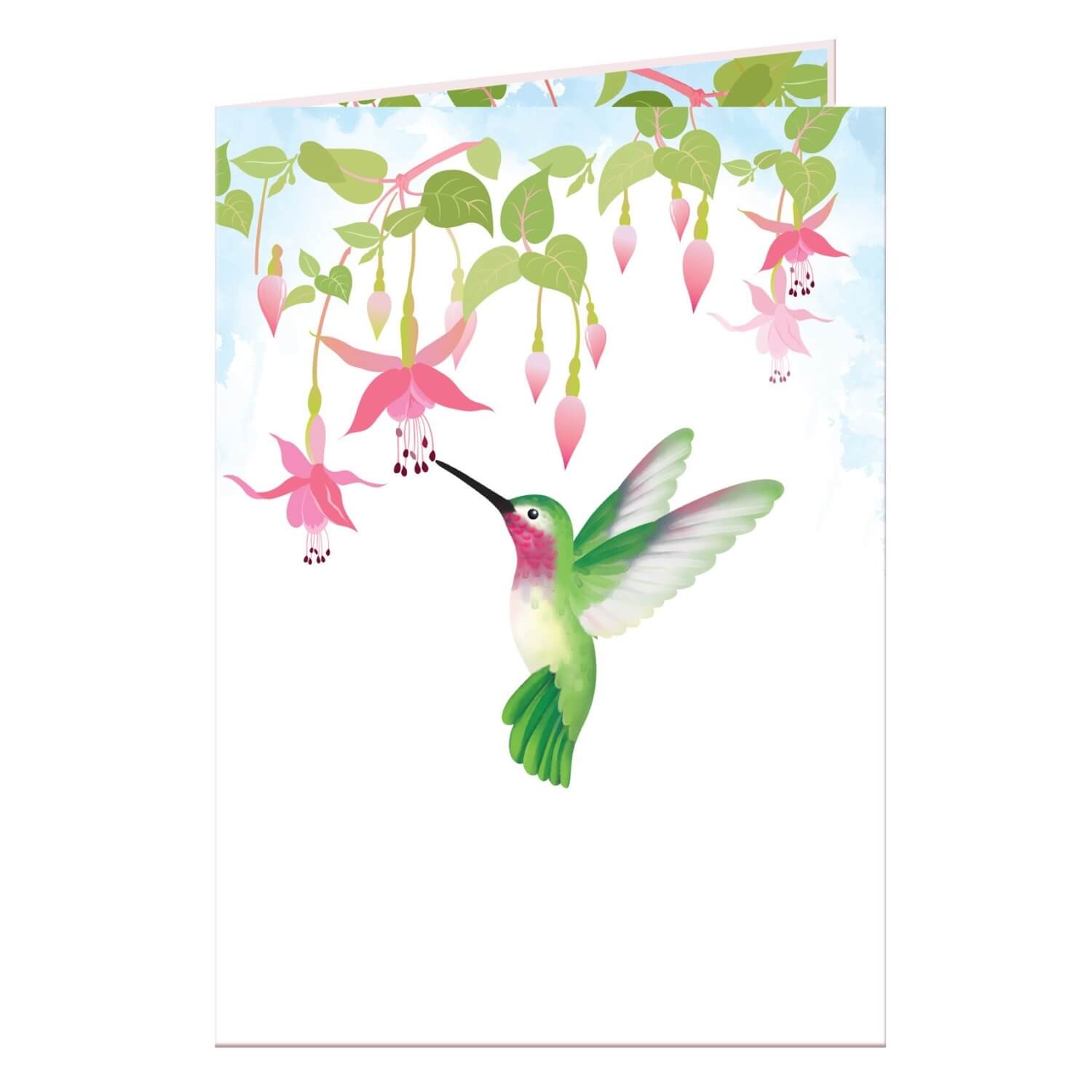 papercrush - Vendita all'ingrosso Biglietti di auguri generici - Biglietto pop-up artigianale colibrì con effetto 3D1