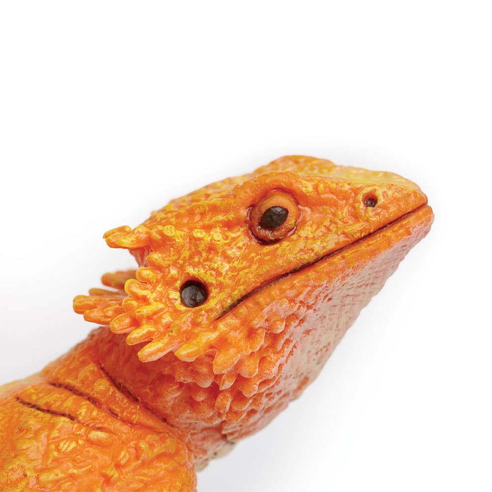 Safari Ltd. - Wholesale Decorative Figurine - Bearded Dragon Decorative Figurine3