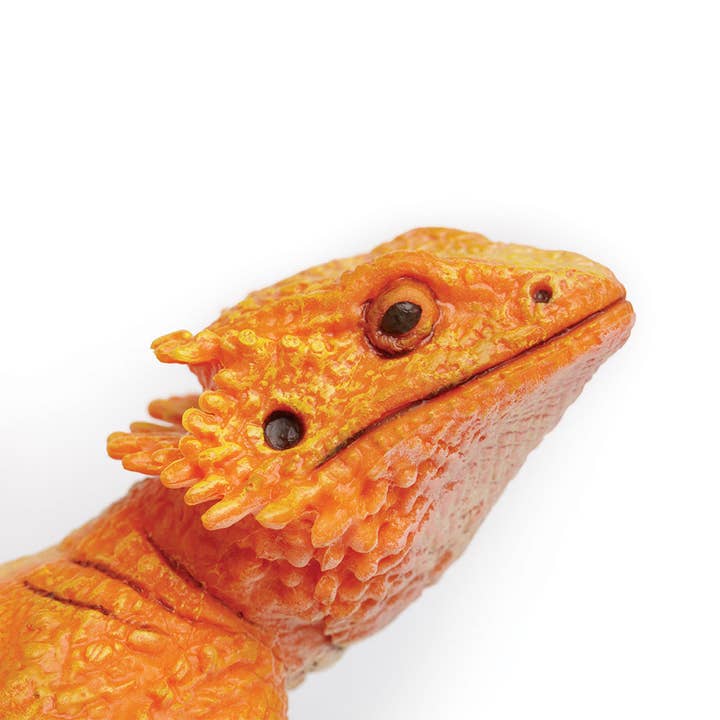 Safari Ltd. - Wholesale Decorative Figurine - Bearded Dragon Decorative Figurine3