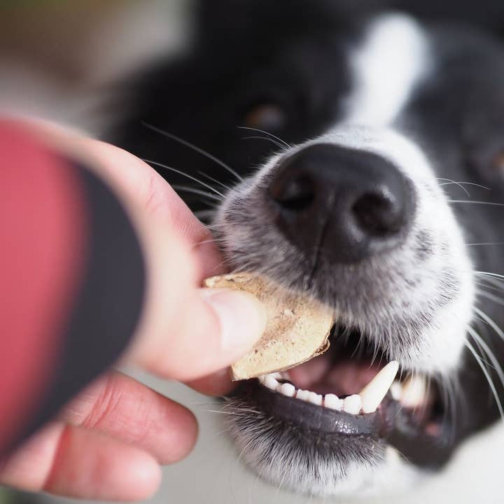 Sund Hundmat - Wholesale Pet Treats - Dog - Freeze-dried Elite pieces 60g1