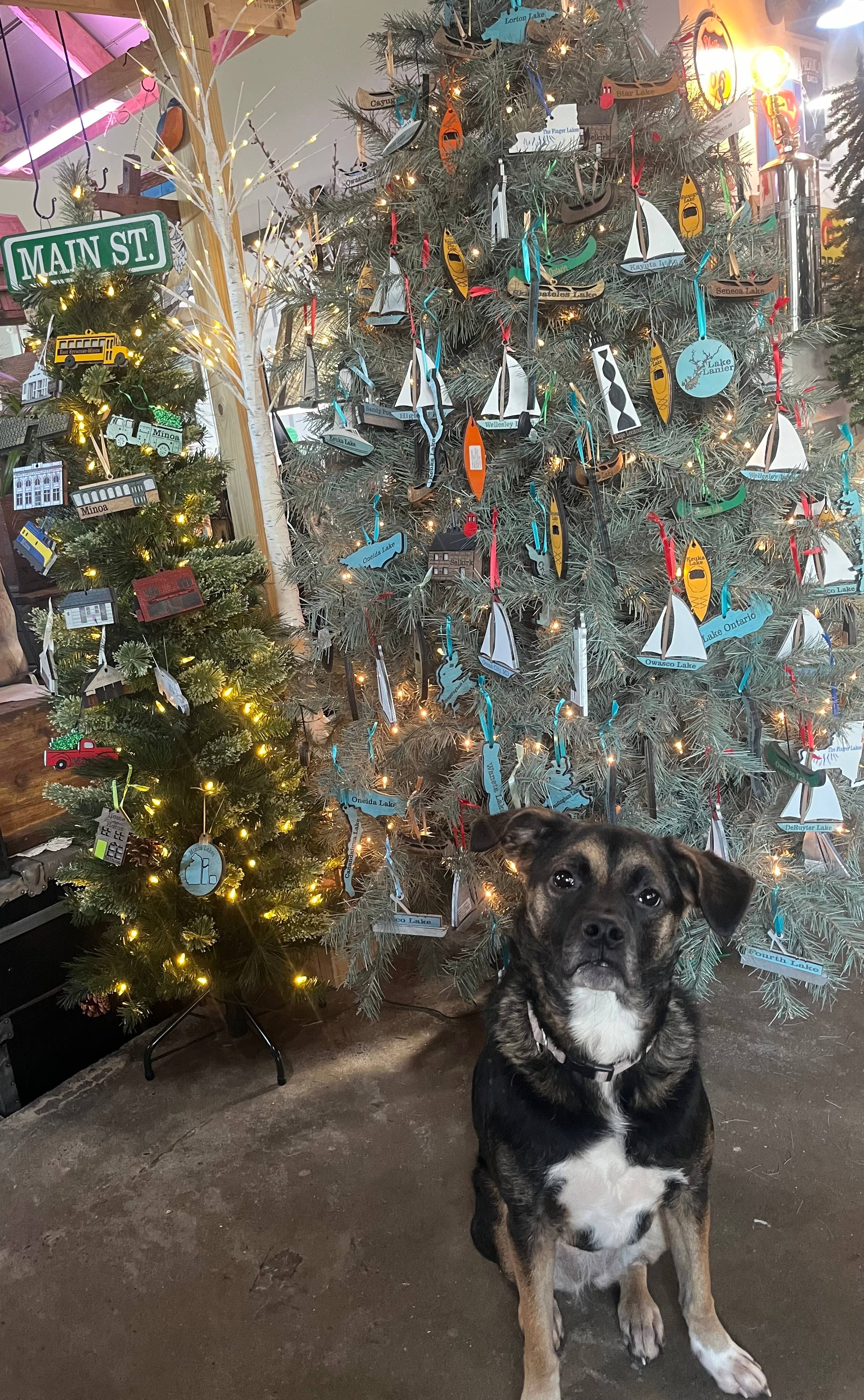 Room To Improve - Wholesale Ornament - Custom Vintage Red Truck Ornament2