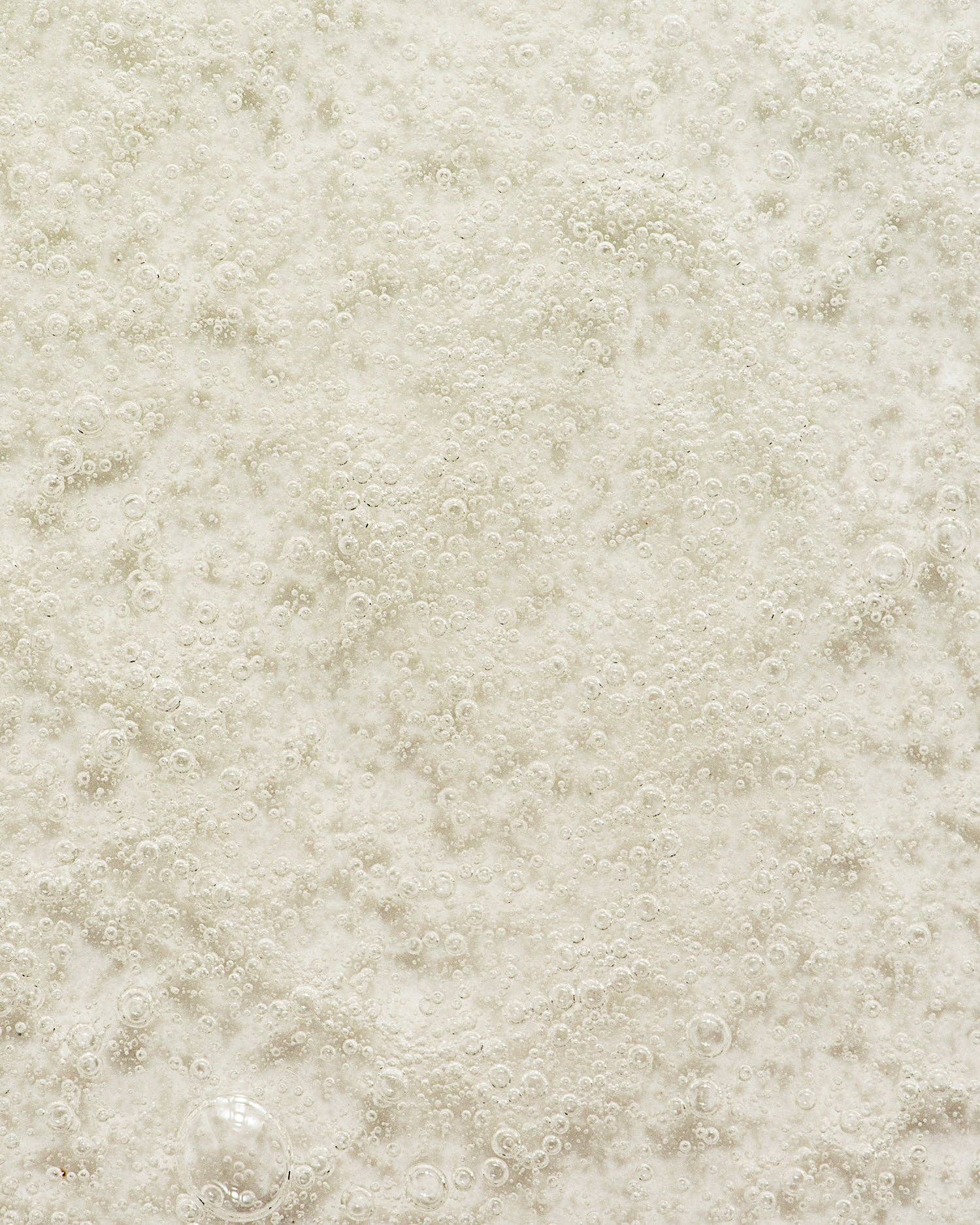 Olivella – Großhandel Haarshampoos – Olivella Das Olivenshampoo 8,45 Unzen1